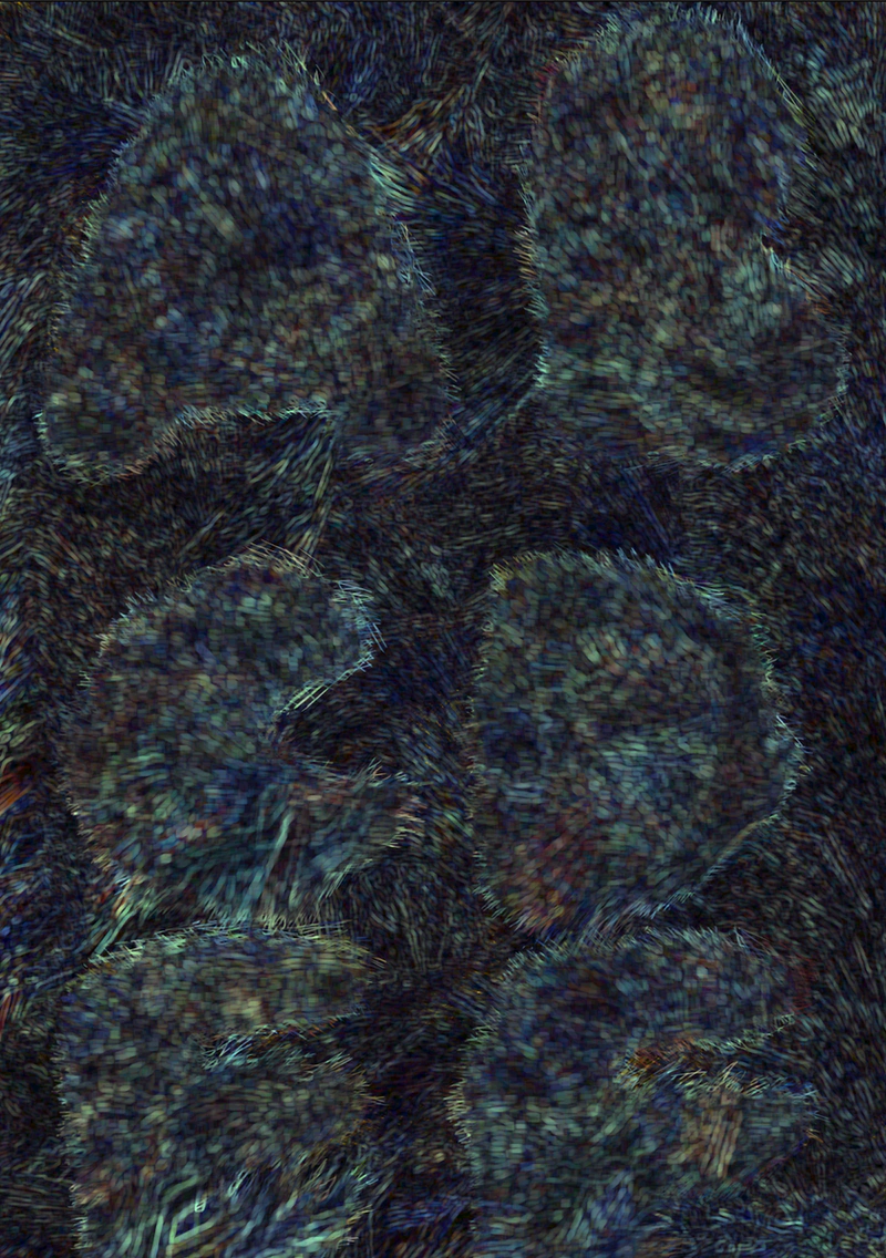 Experimental Typography