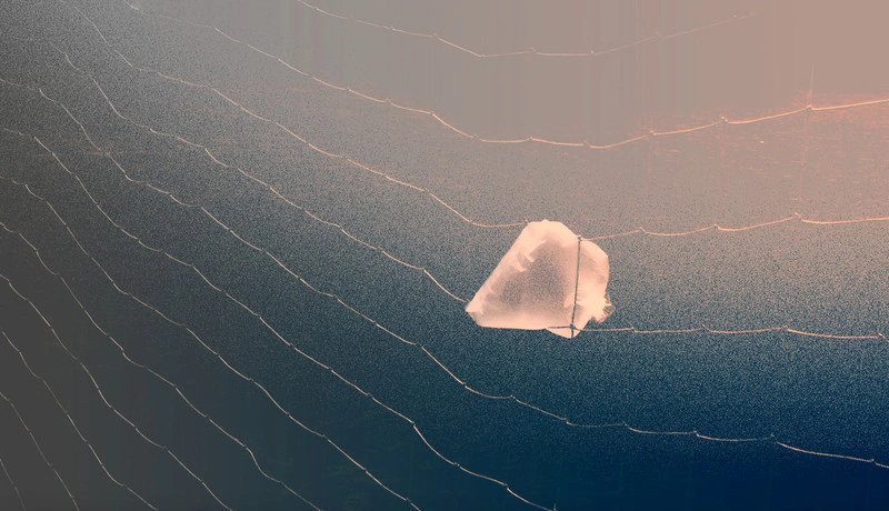 Plastic Bags