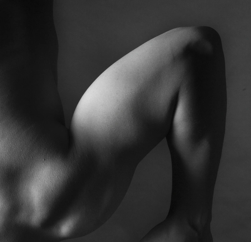 Shape of the body
