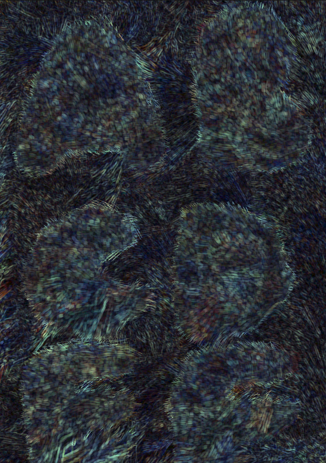 Experimental Typography
